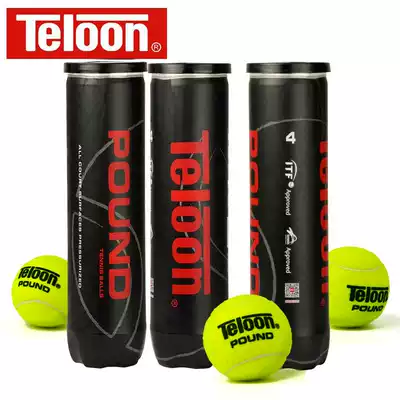 Tianlong tennis Pound P4 match training tennis TELOON 4 canned tennis