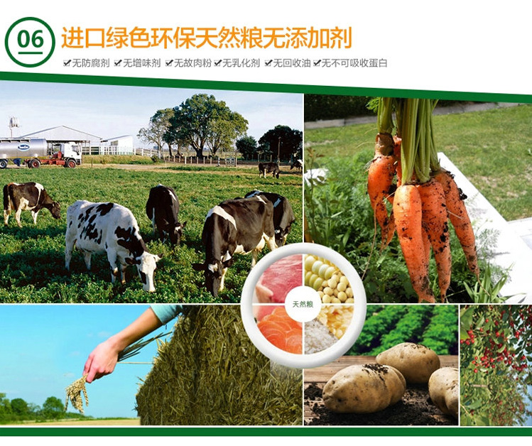 Hoa Kỳ kết hợp thức ăn tự nhiên cho mèo thức ăn cho mèo trẻ vào thức ăn cho mèo sâu cá biển kích thước đầy đủ thức ăn cho mèo 10kg20 kg - Cat Staples hạt anf cho mèo