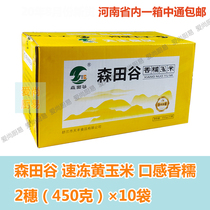 Sentian Valley Northeast of Frozen Mucus Corn 4 5kg20 Ear Box Taste Sweet Glutinous Yellow Corn Henan