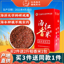 Haihong fragrant rice Zhanjiang Haihong rice selenium-rich brown rice seawater rice rice Guangdong field sugar low five-grain grains