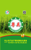 Wu Xiaochuan Wuchuan rice fragrant rice Silk seedling rice health brown rice rice five grains