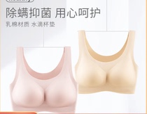 TIOR Vest Type Fixed Cup Zero Sensation Bra DE21857