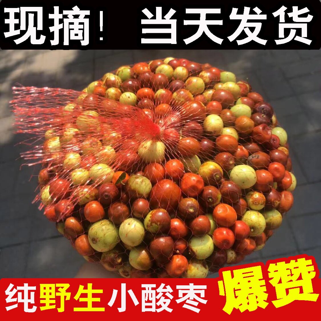 In 2022, the sour jujube is now picked wild fresh sour jujube fresh small sour jujube hard fruit wild mountain jujube sweet and sour pregnant women snack fruit