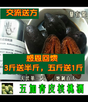 Northeast pecan wine five Jia green skin walnut wine into the future Changbai Mountain green walnut Qinglong clothing bartender authentic