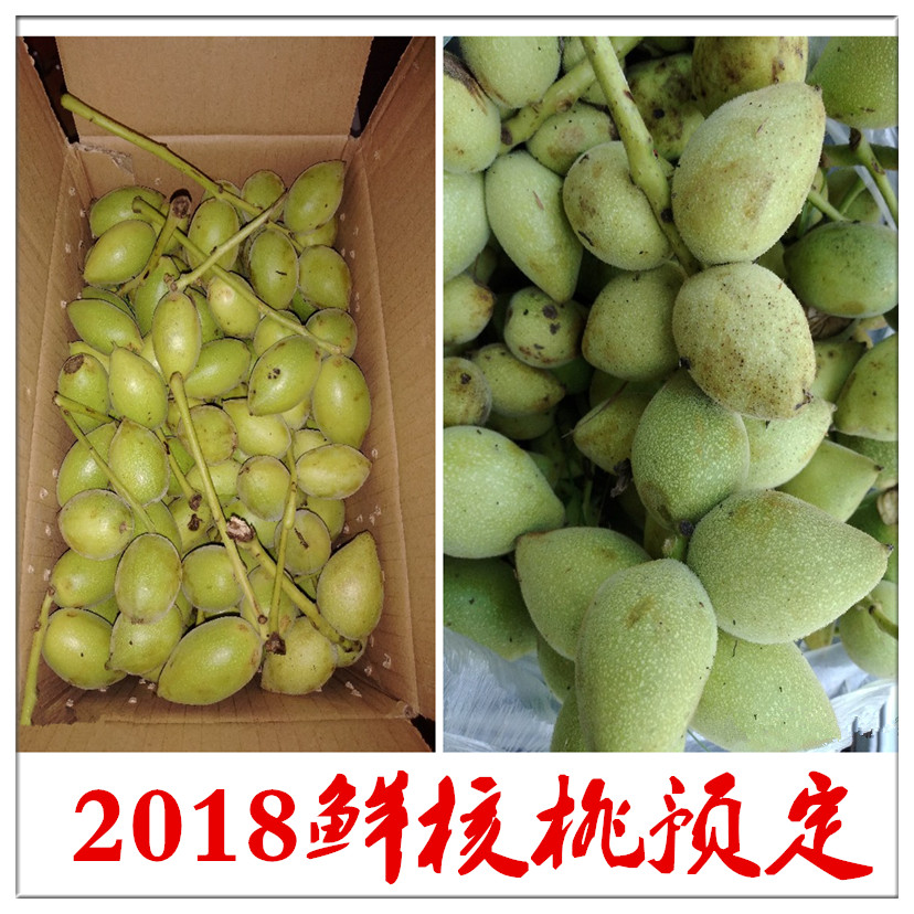 2018 Green walnuts Changbai Mountain wild green dragon clothing fresh Walnuts Green walnut skin mountain walnut skin fresh goods 500 grams