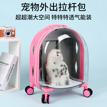 Cat Bag Out Portable Pull Lever Box Large Capacity Transparent Pet Pull Bar Case Large Space Breathable Windproof Dog Supplies