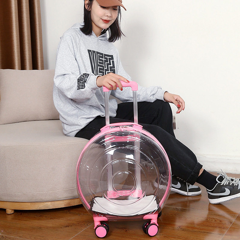 Cat Bag Outside Portable Pull-Lever Box Large Capacity Transparent Pet Pull-Lever Box Large Space Breathable Windproof Dog Supplies