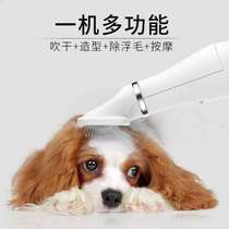 Pet electric hair dryer Lairy all-in-one blow Divine Instrumental Kitty Cat Bath Drying Low Noise Pooch Brash Speed Dry