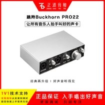 Springbok PRO22 Computer mobile phone General anchor Net Red recording webcast ksong usb external sound card set