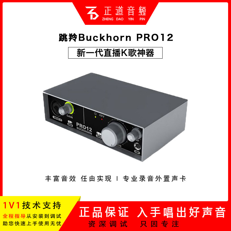 Buckhorn Jump Antelope PRO12 Sound Card New Products USB External Link Sound Card Mobile Phone Computer Internet Live K Song General