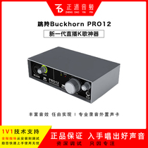 Buckhorn Springbok PRO12 sound card new USB external sound card mobile phone computer webcast K song Universal