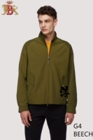 Бук зеленый