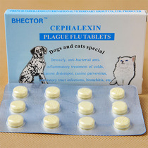 Blue Hound Cat Fever CLEAR SHEET WHOLE BOX 12 GRAIN HEAD BAG AMMONIA LOWER PET DOG COLD ANTI-INFLAMMATORY FEVER IS SMALL