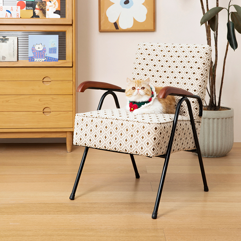 Designer Ins Medieval Innate Living Room Single Sofa Chair Nordic Iron Art Retro Balcony Casual Bedroom Chair