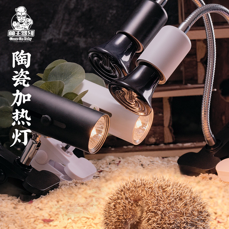 Cute main driving to hamster ceramic heating light dragon cat rabbit guinea pig over winter warm and little darling