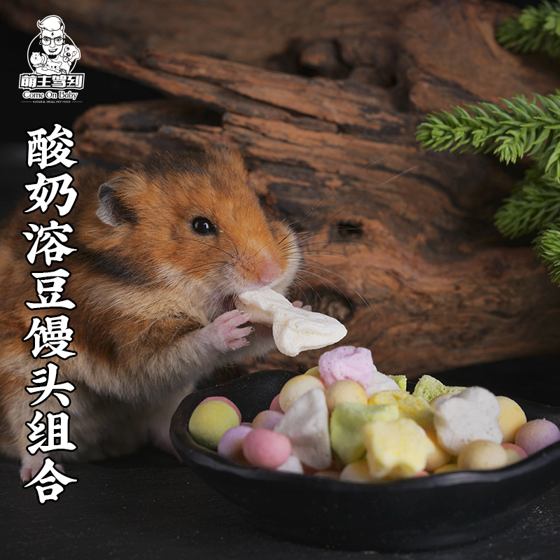 Adorable master drive to Macaroni hamster squash rat yogurt bean steamed bread snack golden bear laying hand nutritious food