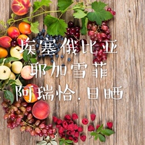 Happy Road Ethiopia Yegahefi Aricia Aricha G1 Sun 150g