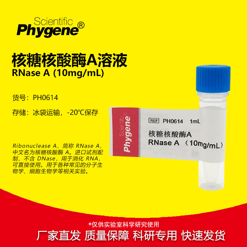 PH0614 核糖核酸酶A 1mL RNase A 10mg/mL DNase free PHYGENE