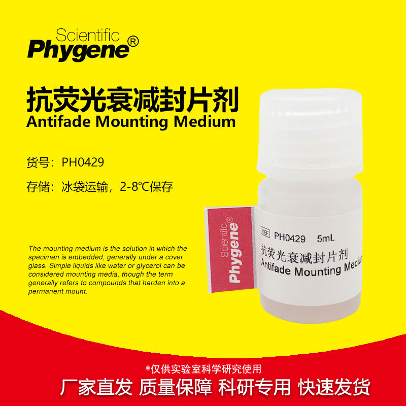 抗荧光衰减封片剂淬灭封片剂封片液封固剂 [PH0429 PHYGENE]