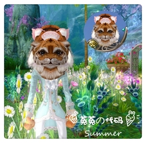 2020 Perfect World International Edition 2 Beast Code Pink Ear SS Code (national service classic version common) Ummy