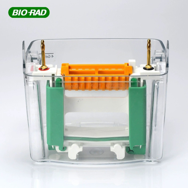 BIO-RAD伯乐原装电泳加样器 上样引导装置 新手上样神器1653146