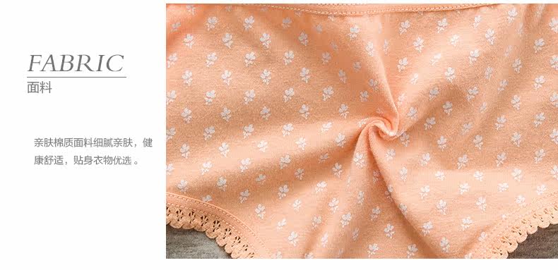 Slip jeunesse METION T895 en coton - Ref 640151 Image 19