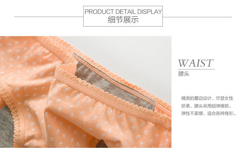 Slip jeunesse METION T895 en coton - Ref 640151 Image 16