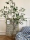 Large Artificial Green Plant Decorative Potted Plant, Minimalist Nordic Style, Popular Indoor Hanging Clock Plant, Floor-Standing Ornament