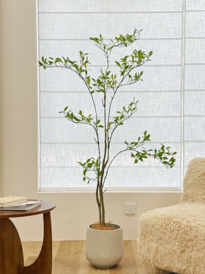 Loushujia Artificial Green Plants, High-End Light Luxury Camellia Tree, Indoor Living Room Decoration Ornaments, High-End Realistic Fake Plants