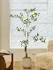 Loushujia Artificial Green Plants, High-End Light Luxury Camellia Tree, Indoor Living Room Decoration Ornaments, High-End Realistic Fake Plants