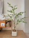 Loushujia Artificial Green Plant Hanging Clock Indoor Living Room Decoration Wabi-Sabi Style High-End Light Luxury Bionic Fake Plant Tree Ornament