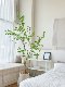 Loushujia Indoor Artificial Hanging Bellflower Tree, Fake Plant Tree, Living Room Decoration, High-End Green Plant Landscaping