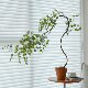 Loushujia Artificial Green Plant Flowing Waterfall Maple Indoor Entrance Decoration Zen-Style Ornament Bonsai High-End Light Luxury Fake Flower Plant