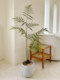 Loushujia Artificial Green Plants, High-End Light Luxury Japanese Zen-Style Simulated Plants, Monkey Head Fern Landscaping, Indoor Ornaments, Potted Plants