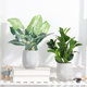 Nordic Artificial Plant Pot with Monstera Leaves, Artificial Plant Potted Plant, Home Tv Cabinet Desktop Decoration, Cement Bonsai