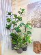 Loushujia Artificial Green Plant Landscaping Fake Tree Window Display Indoor Decoration Staircase Landscape Combination Artificial Plant Tree
