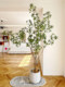 Loushujia Artificial Plant, Horse-Dranker Tree, Light Luxury Fake Green Plant, Landscaping, Bionic Decorative Ornaments, Indoor Potted Plant, Fake Tree