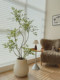 Louxiajia high-end light luxury simulated green plant nandina bamboo ornaments indoor living room decoration bionic fake plant potted plants