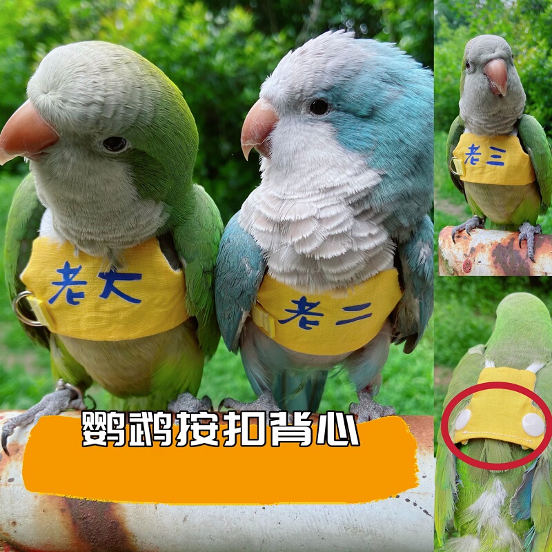 Parrot Flying Harness Leash, Ultra-Light Training and Walking Rope, Pure Cotton, Lightweight, Bite-Resistant