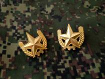 Metal Emblem Screw Shoulder Badge 5 Stars Wheat Ears Golden Shoulder Badge Metal Badge Hard Shoulder Badge