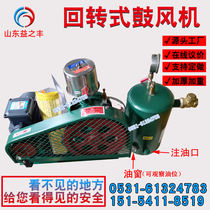 HC HZ15S20S25S251S30S301S40S401S50S501S Rotary rotary fan 220V 380V