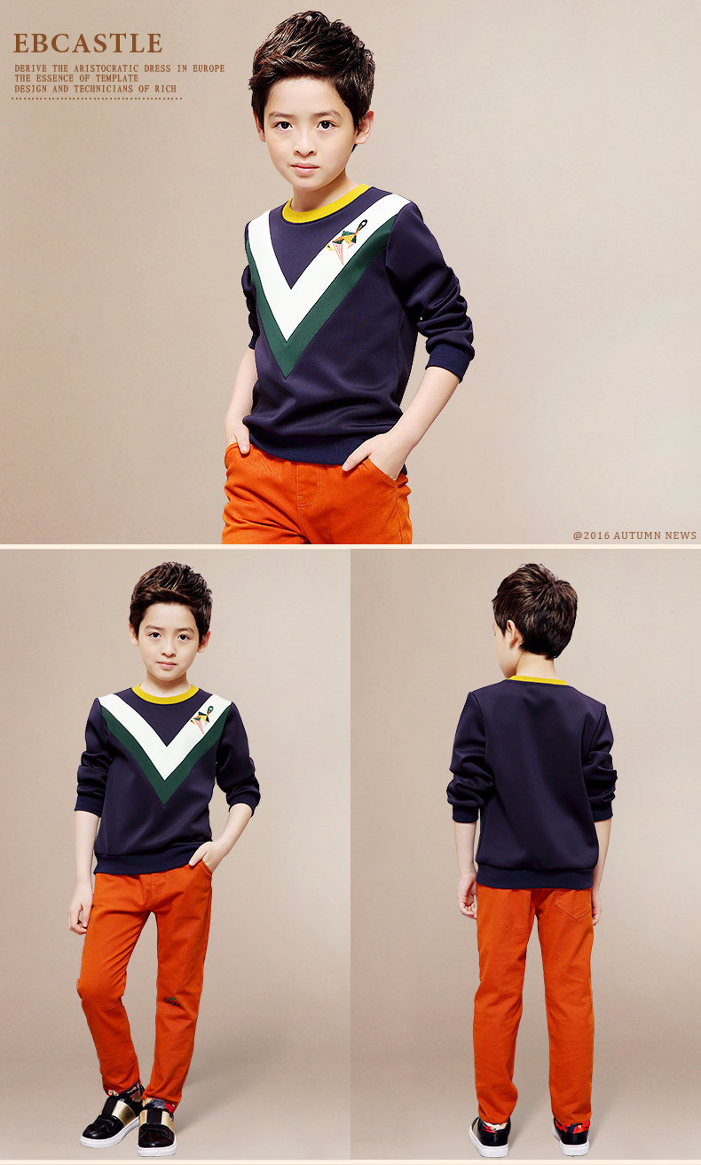 Veste pour garcon EBCASTLE - Ref 2157611 Image 17