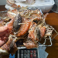 北海香草船晒海鲜干货