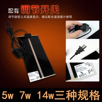 Crawling pet reptile box temperature control heating pad lizard snake mortuary box spider scorpion hamster hedgehog honey bag squirrel