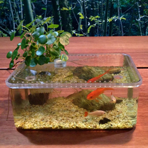Acrylic plastic goldfish tank mini transparent crawler small desktop creative peacock bucket fish special tank lazy man