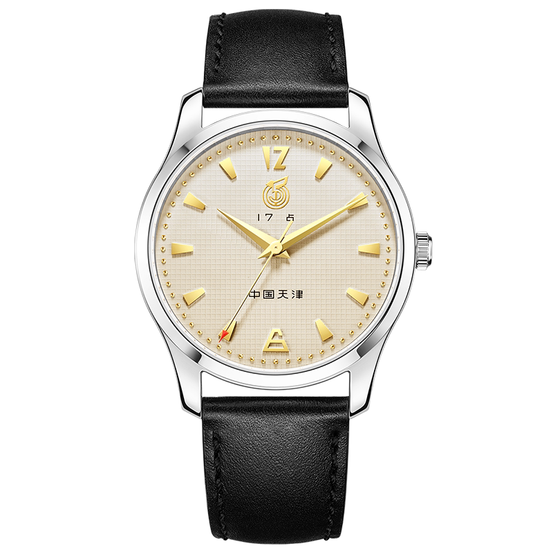 Seagull Watch 51 Series Classic Replica Watch Men's Business Casual Automatic Mechanical Watch 1070