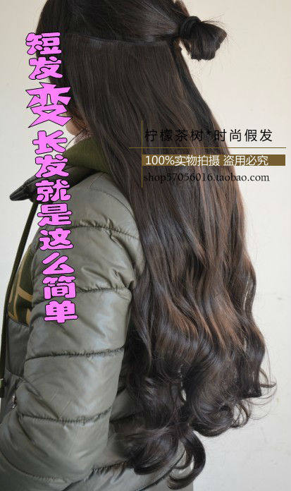 Extension cheveux - Chignon - Ref 229291 Image 8