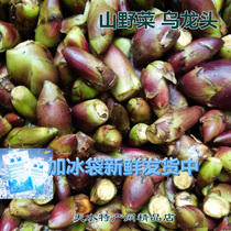 Gansu Tianshui specialty mountain wild vegetables Oolongtou agricultural products wood dragon head thorn Bud wild vegetables (out of stock after season)