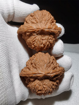 49 Gypsophila Lion Head Full Product 3008 Old Style Wenwan Walnut Old Tree Baihuashan Monk Head Lion Head Extra Large