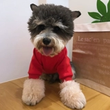 Одежда для щенка осенью и зимой, бренд Tide Brand Sherry, чем медведь плюшевый питовой свитер, празднуйте обе ноги плюс бархат